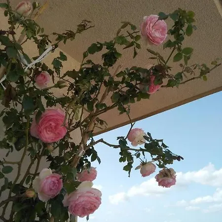 Lejlighed Rosso Di Sera Loft